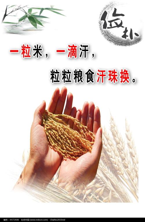办假的西班牙驾照